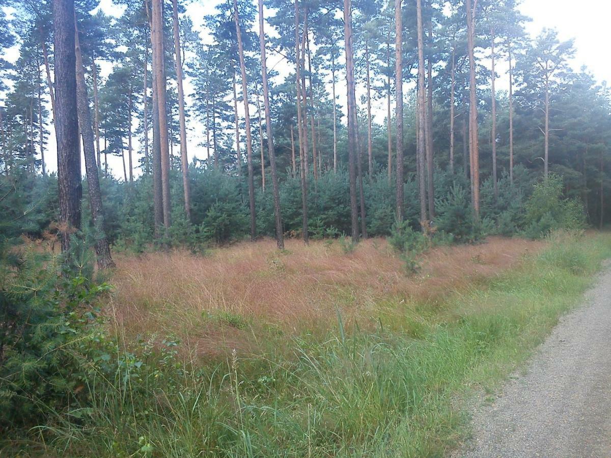 Ferienwohnungen 3 Birken Briesen  Esterno foto