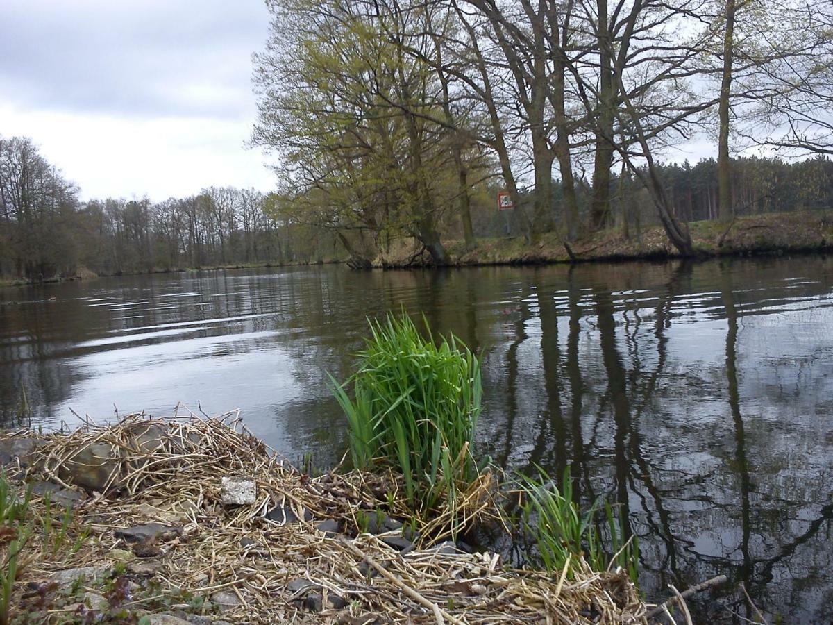 Ferienwohnungen 3 Birken Briesen  Esterno foto